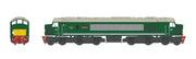 Class 44 - BR Green - D9 - OO Scale